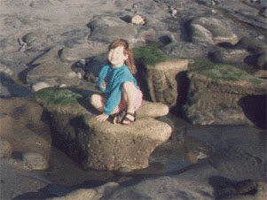 low tide at Beacon's Beach exposes the reef