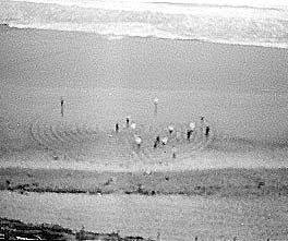 crop circles being put to good use
