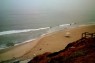 littoral cell movement