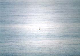 yep, that little spec is Brandon, a half mile out in the Pacific