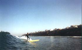Surfer Chuck goes both ways.