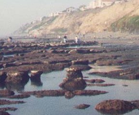 rugged reef, after a winter storm